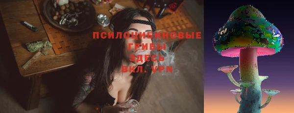 гидропоника Белоозёрский