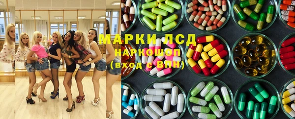 трава Белокуриха