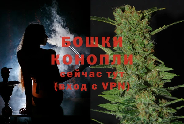 трава Белокуриха